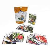 Grannys Garden Heirloom Vegetable Seed Collection - 15 Varieties Non-GMO Heirloom Beet Carrot Cucumber Basil Kale Lettuce Melon Onion Pea Pepper Squash and Tomato Seeds by Sustainable Seed Company