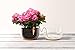 Blumat Classic Plant Watering Stakes - Self-Watering Insert for Indoor and Outdoor Plants - Automatic Slow Release Irrigation System for Potted Plants - Houseplant Care Device (10 Pack)
