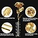 Valentine's Day Gift 24K Gold Foil Rose Flower with Crystal-Clear Vase, Best Love Gift for Women Anniversary, Birthday, Mothers Day