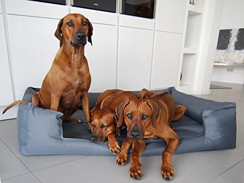 tierlando-Orthopdisches-Hundebett-Goofy-VISCO-inkl-Matratzenschoner-Polyester-Hundesofa-M-L-XL-XXL-XXXL-90-185-cm-30-Farben