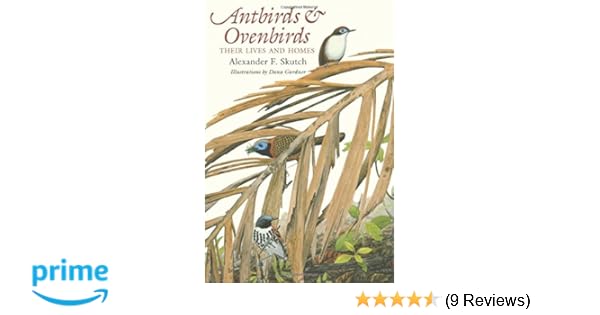 Antbirds And Ovenbirds Their Lives And Homes Corrie - 