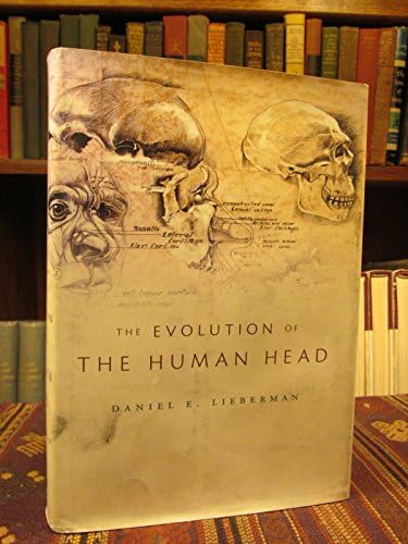 The Human Eye: Structure and Function: 9780878936441: Medicine