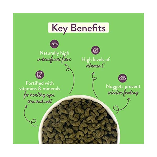 Burgess-Excel-Guinea-Pig-Nuggets-with-Mint-10kg Burgess Excel Guinea Pig Nuggets with Mint, 10kg