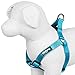 Blueberry Pet 12 Colors Step-in Classic Dog Harness, Chest Girth 15.5