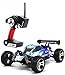 TOZO C1025 RC CAR High Speed 32MPH 4x4 Fast Race Cars 1:18 RC Scale RTR Racing 4WD Electric Power Buggy W/2.4G Radio Remote Control Off Road Truck Powersport Roadster Blue