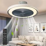 EIHIWD 20in Ceiling Fan with Lights Remote Control