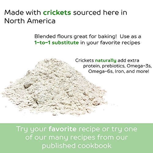 Cricket Flour All Purpose Baking Flour 12oz (Blended Mix) Made in
