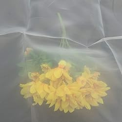 Silk Screen Printing