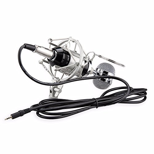 ZINGYOU BM-8000 Professional Studio Condenser Microphone Set, XLR Condenser Mic Bundle for Recording (Black)