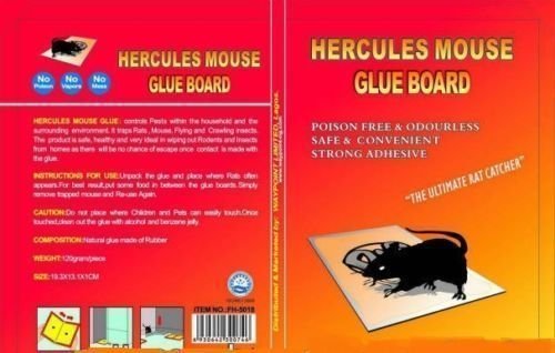 Slings Chronowares Watches Rodent Control Adhesive Sticky Glue Pad (Set Of 2)