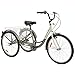 Royal London Adult Tricycle 3 Wheeled Trike Bicycle w/Wire Shopping Basket Silver (Renewed)thumb 4