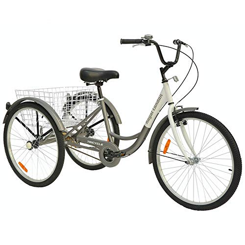 Royal London Adult Tricycle 3 Wheeled Trike Bicycle w/Wire Shopping Basket Silver (Renewed)