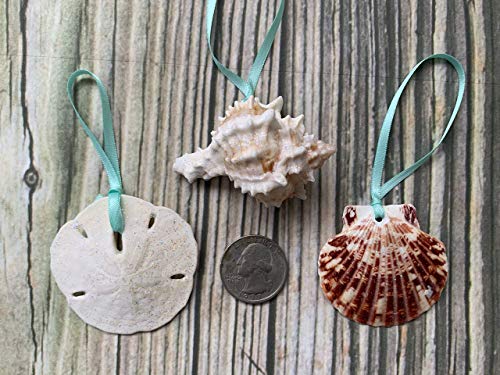 51ieW5%2BlJGL 51ieW5%2BlJGL