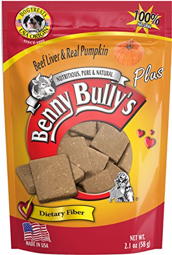 Benny Bully's Plus Pumkin Dog and Cat Treat