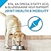 Purina Pro Plan High Protein, Digestive Health Large Breed Dog Food Dry, Chicken and Rice Formula - 18 lb. Bag