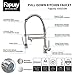 Fapully Contemporary Spring Single Handle Kitchen Sink Faucet with Pull Down Sprayer, Brushed Nickel