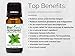 BioFinest Peppermint Oil - 100% Pure Peppermint Essential Oil - Therapeutic Grade - Premium Quality - Best For Aromatherapy, Headaches and Migraines Relief - FREE E-Book (10ml)