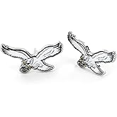 aminco NFL unisex-adult NFL Team Post Earrings