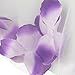 TIAOBU Baby Girls Flower Petals Tulle Formal Bridesmaid Wedding Party Dress Purple 6-9 Months