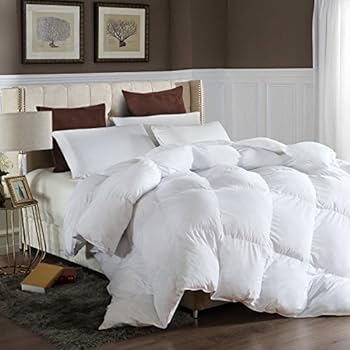 LESNNCIER Twin Down Alternative Comforter Duvet Insert All Seasons Ultra Plush Microfiber Fill Goose Down Alternative Comforter Machine Washable