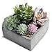 MyGift Assorted Colorful Artificial Succulents in Grey Cement Pot, Fake Plants for Bedroom Aesthetic