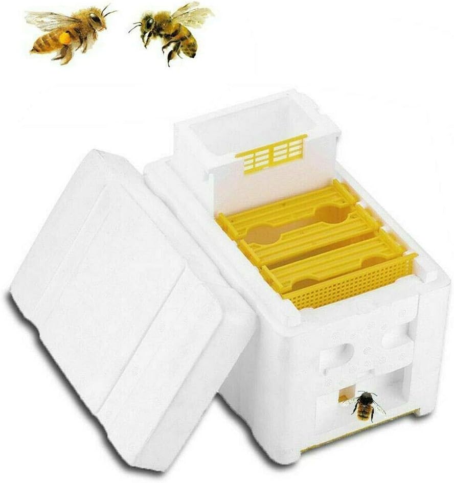 Dasuy Plastic Foam Bee Hive Box Portable Lightweight Bee