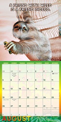 Stoner Sloths 2018 Wall Calendar (CA0119) 51if%2Bf7qNNL - Stoner Sloths 2018 Wall Calendar (CA0119)