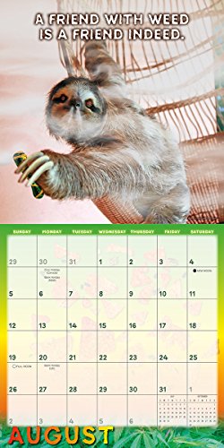 51if%2Bf7qNNL - Stoner Sloths 2018 Wall Calendar (CA0119)