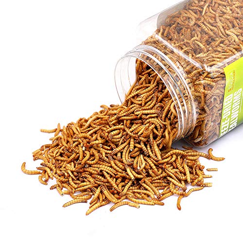 Sequoia Reptile Food Freeze Dried Mealworms Pet Worms Food for Chickens, Ducks, Wild Birds