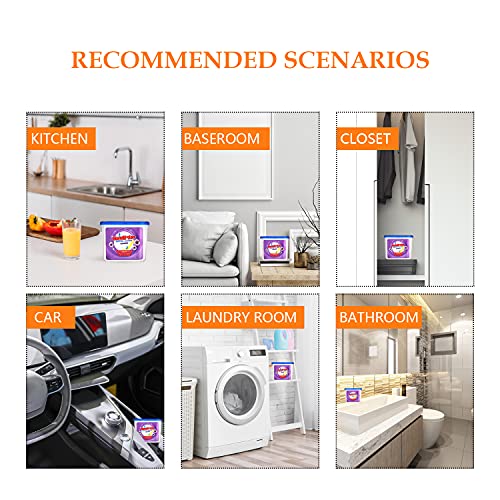 6 packs Large Moisture Absorber Boxes with Air Purification Fragrance