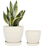Docrin Flower Pots, 6.6+5.5 Inch, Plant Pots with