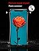 iPhone Xs Max Case KumWum Shockproof Metal Aluminum Bumper Polycarbonate Back Cover for iPhone Xs Plus (iPhone Xs Max, Gold)