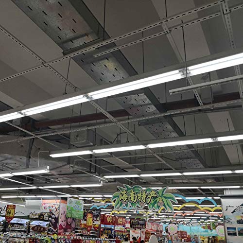 YQL F40T12 T10 T8 Led Tube Bulb Light 4ft 48in 22W(40W-50W Equivalent) 6500K White Clear Dual-End Powered Ballast Bypass Replacement for Flourescent Tubes Garage Warehouse Factory Shop Light - 25 Pack