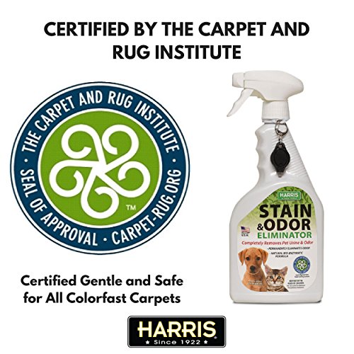 Harris Pet Stain & Odor Remover Professional Strength by Harris with Free Stain Detection Blacklight by Harris, 32oz Enzyme Spray for Dog and Cat Urine (1-Pack) - Thumbnail 5