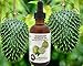 Virgin Soursop Oil (Anona Muricata, Graviola, Guanabana) – 100% Pure, Organic, Cold-Pressed, Unrefined – 4oz - 120ml – Natural Facial Oil & Moisturizer for Dry, Damaged, or Sensitive Skin