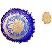 Jacquard Pinata Alcohol Ink - Brass - Professional and Versatile Ink That Produces Color Saturated and Acid-Free Results - 1/2 Fluid Ounce - Made in The USA