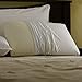 Pacific Coast Feather Restful Nights Even Form Latex Foam Pillow (King)