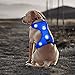 BSEEN LED Dog Harness USB Rechargeable Dog Vest Harness, Dog Accessories Night Walking Safety Soft Mesh Vest with Adjustable Belt Padded Lightweight Collar for Dogs, Pets and Puppies(Medium, Blue)