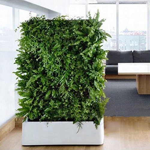 Hanging Vertical Garden Planter Herb Pot Decor Easy To Hang From Any Location Perfect For Creating A Bright Feature Wall Or