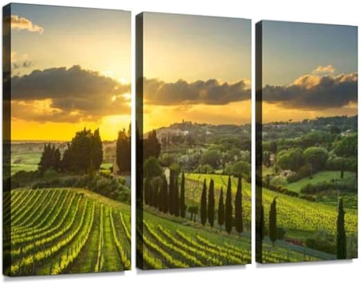 Get Amazon Com Casale Marittimo Village Vineyards And Landscape In For iPhone Free Get Wallpaper Amazon Com Casale Marittimo Village Vineyards And Landscape In For iPhone