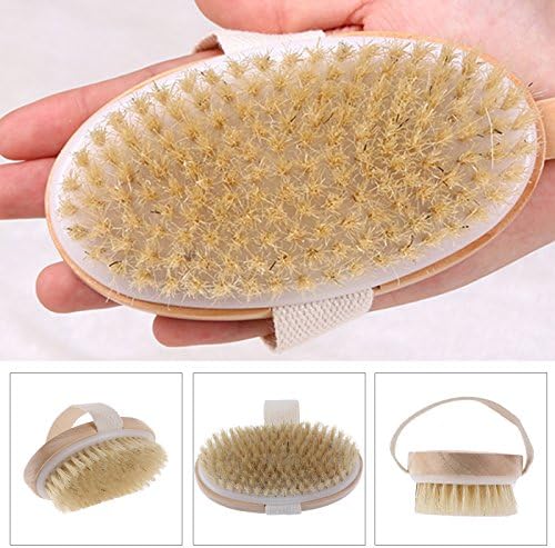 SinoWare Fantasea Natural Bristle Body Brush Natural Bristles,Promote Healthy,Glowing Skin,Stimulates Blood Circulation