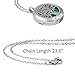 2PCS Aromatherapy Essential Oil Diffuser Pendant Necklace, Hypoallegenic Stainless Steel Locket with 23