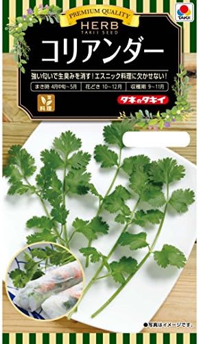 タキイ種苗 ハーブ コリアンダー