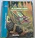 Science: A Closer Look - Physical Science, Vol. 3, Grade 4, Teacher Edition