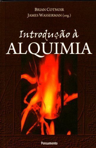 Livro O Detetive Sem Nome