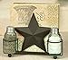 Star Salt Pepper and Napkin Caddy