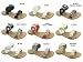 Pierre Dumas Rosetta 4 Women's Sandal