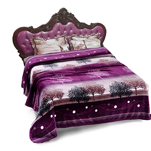 JML Plush Blankets, Blankets Cal (California) King Size 90" x 102