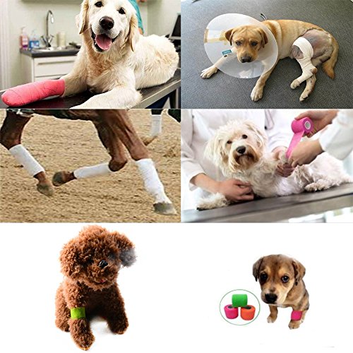 Patgoal Pet Self Adherent Bandage, 4 Pack Cohesive Bandage Non-woven Fabric Elasticity Gauze Rolls Self Adhering Stick Bandage Wrap Medical Vet Tape for Pet Animals in Random Colors - Thumbnail 2