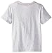 Splendid Little Boys' Directional Print Short Sleeve Tee